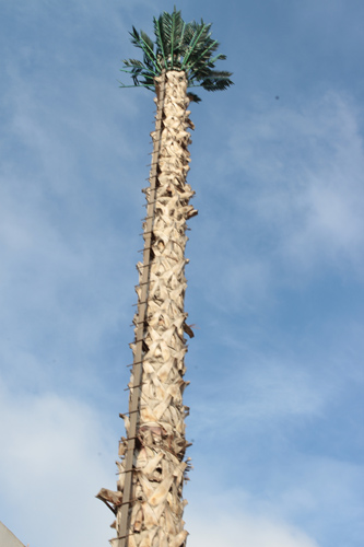 18m Palm Tower